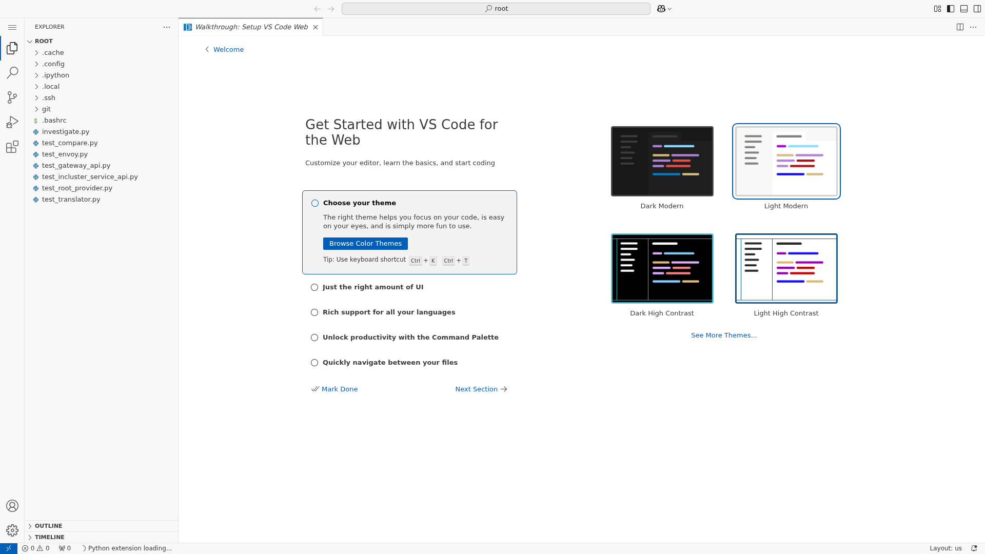 Session opened in VS Code web